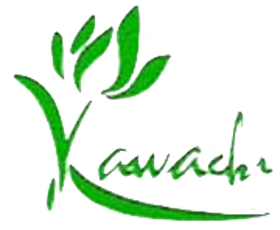 kawachi